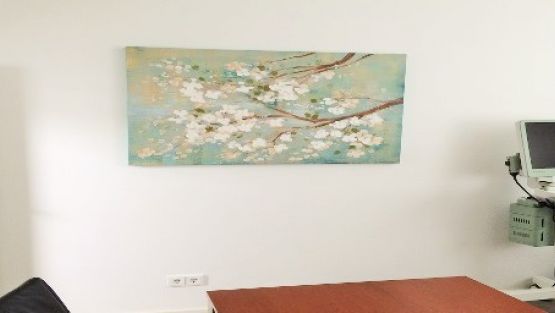 behandlungszimmer_vasektomie_ludwigshafen.jpg
