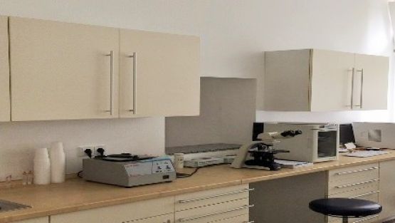 labor_vasektomie_ludwigshafen.jpg